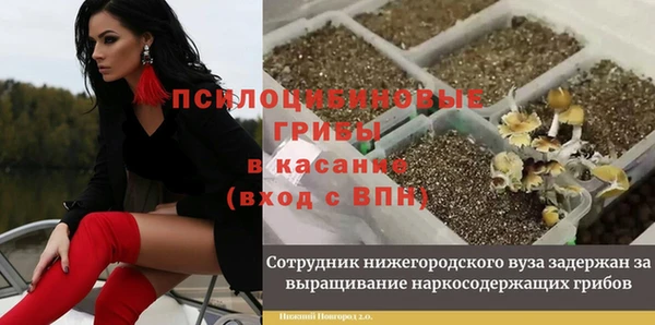 мдпв Навашино