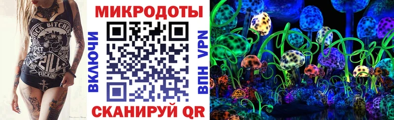 Псилоцибиновые грибы MAGIC MUSHROOMS купить наркотики сайты Иркутск